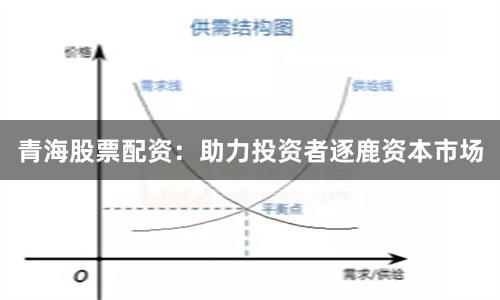 青海股票配资：助力投资者逐鹿资本市场