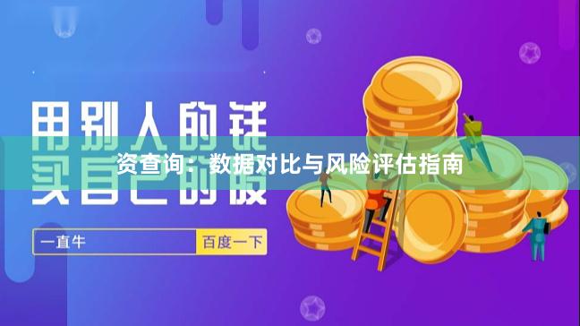 资查询：数据对比与风险评估指南